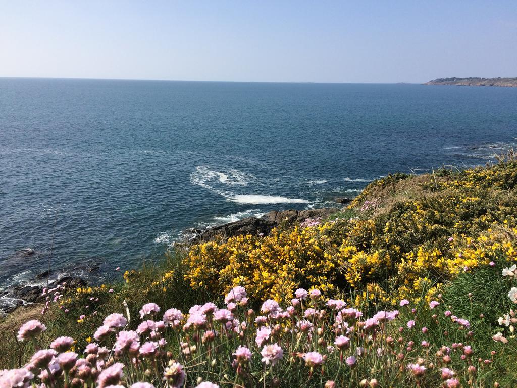 贝拉住宿加早餐旅馆 Moëlan-sur-Mer 外观 照片