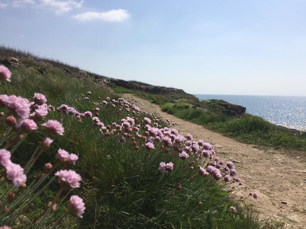 贝拉住宿加早餐旅馆 Moëlan-sur-Mer 外观 照片