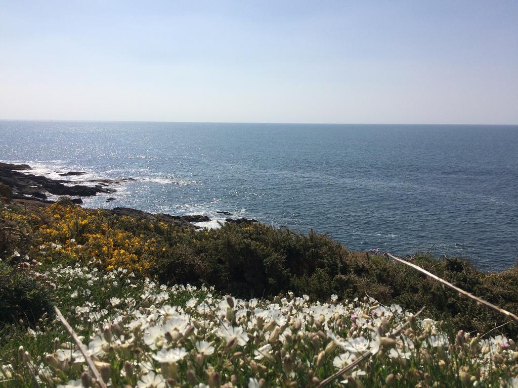 贝拉住宿加早餐旅馆 Moëlan-sur-Mer 外观 照片