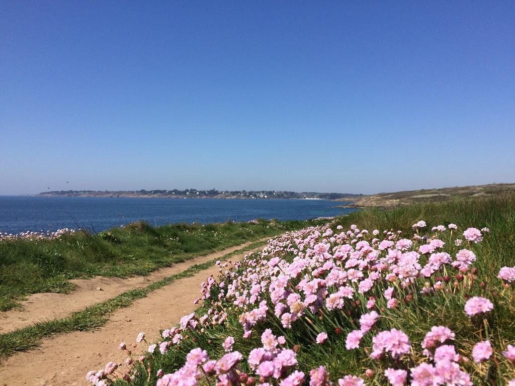 贝拉住宿加早餐旅馆 Moëlan-sur-Mer 外观 照片