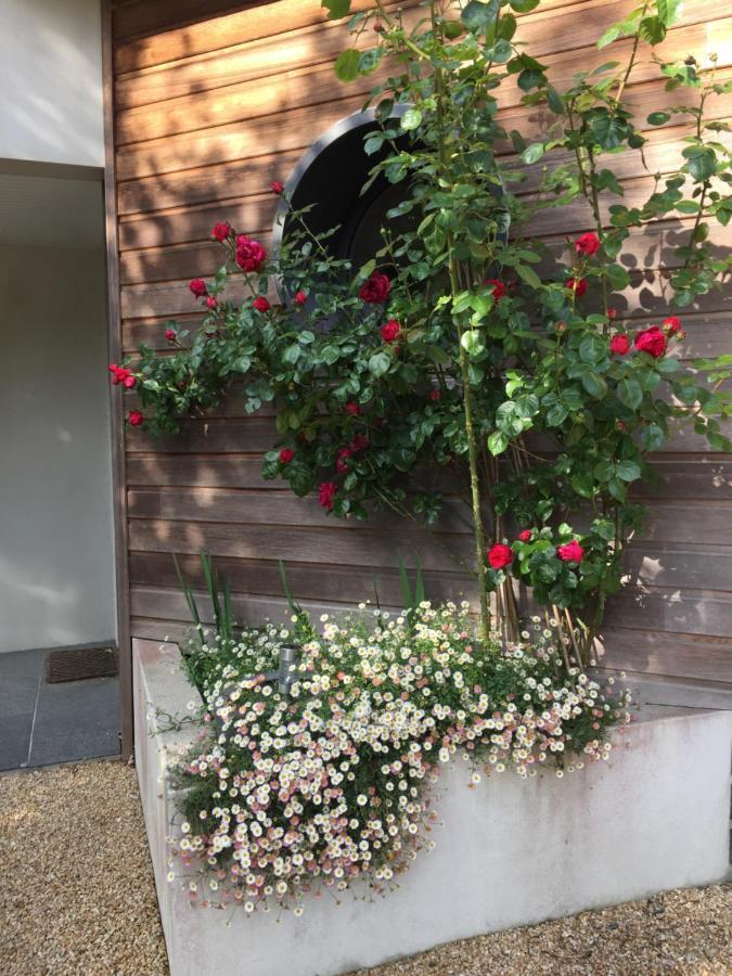 贝拉住宿加早餐旅馆 Moëlan-sur-Mer 外观 照片